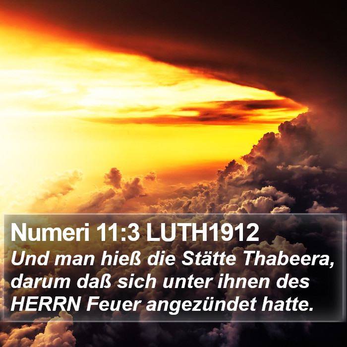 Numeri 11:3 LUTH1912 Bible Study