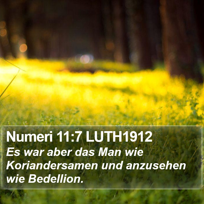 Numeri 11:7 LUTH1912 Bible Study