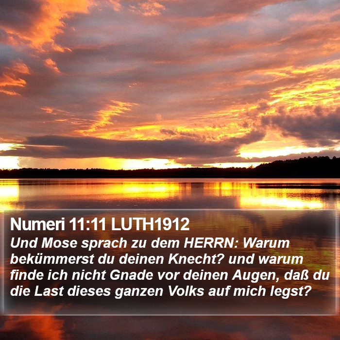 Numeri 11:11 LUTH1912 Bible Study