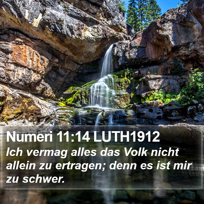 Numeri 11:14 LUTH1912 Bible Study