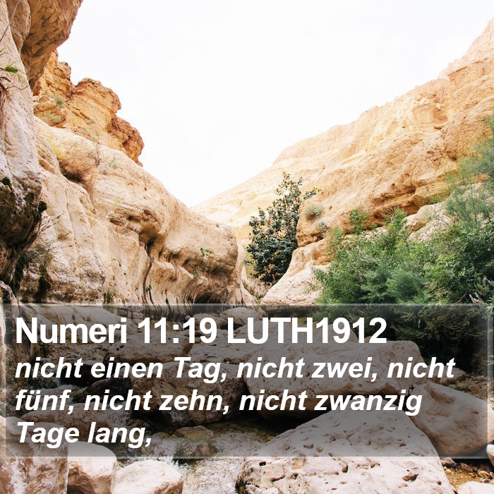 Numeri 11:19 LUTH1912 Bible Study