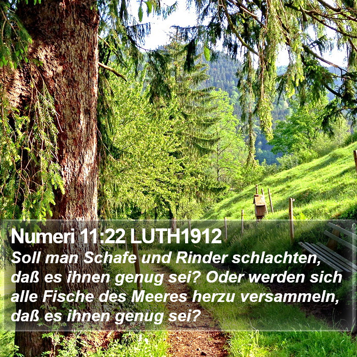 Numeri 11:22 LUTH1912 Bible Study