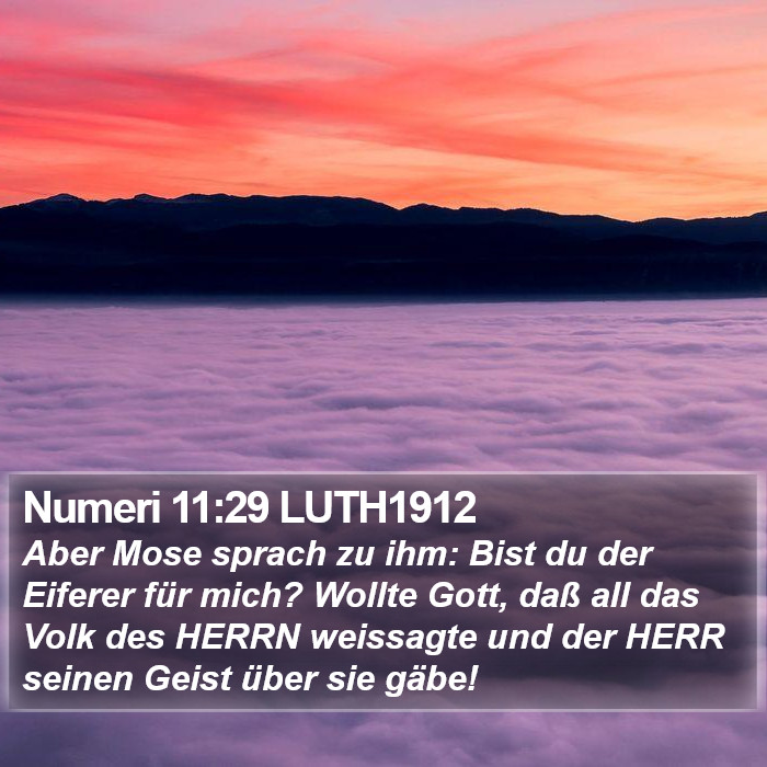 Numeri 11:29 LUTH1912 Bible Study