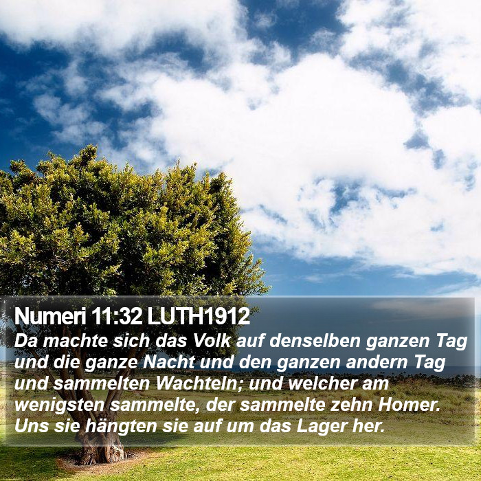 Numeri 11:32 LUTH1912 Bible Study