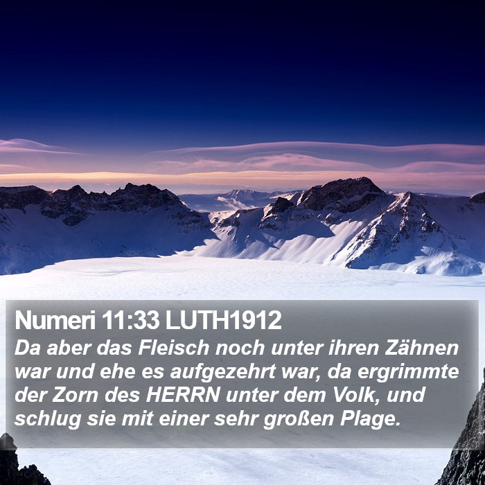 Numeri 11:33 LUTH1912 Bible Study