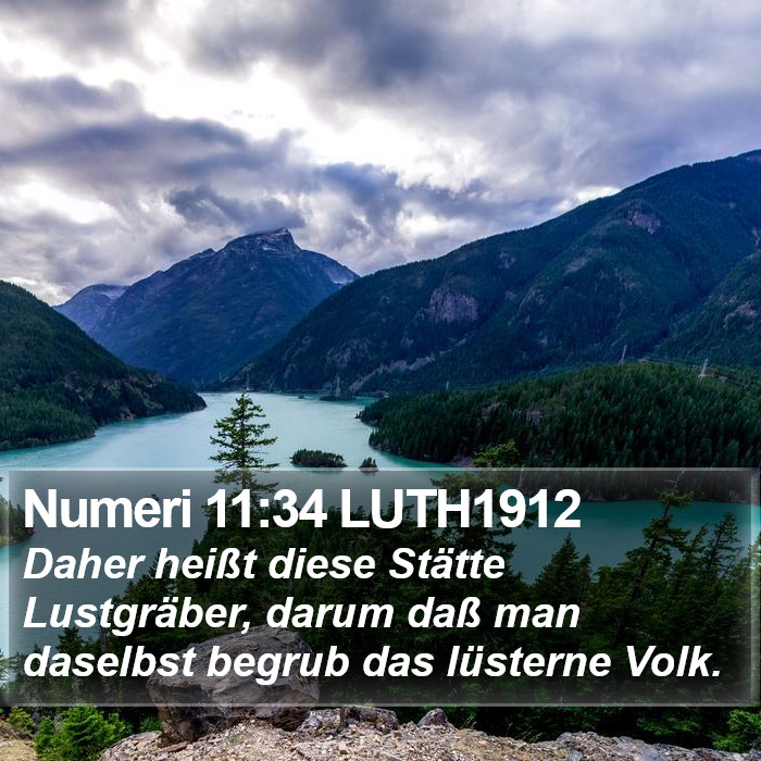 Numeri 11:34 LUTH1912 Bible Study