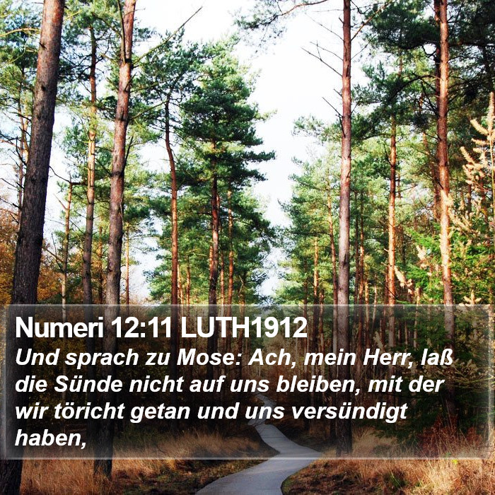 Numeri 12:11 LUTH1912 Bible Study