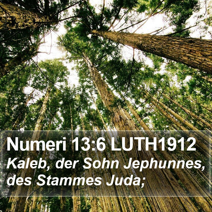 Numeri 13:6 LUTH1912 Bible Study