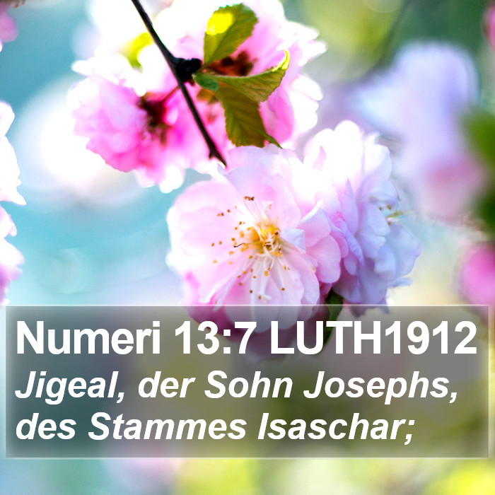 Numeri 13:7 LUTH1912 Bible Study