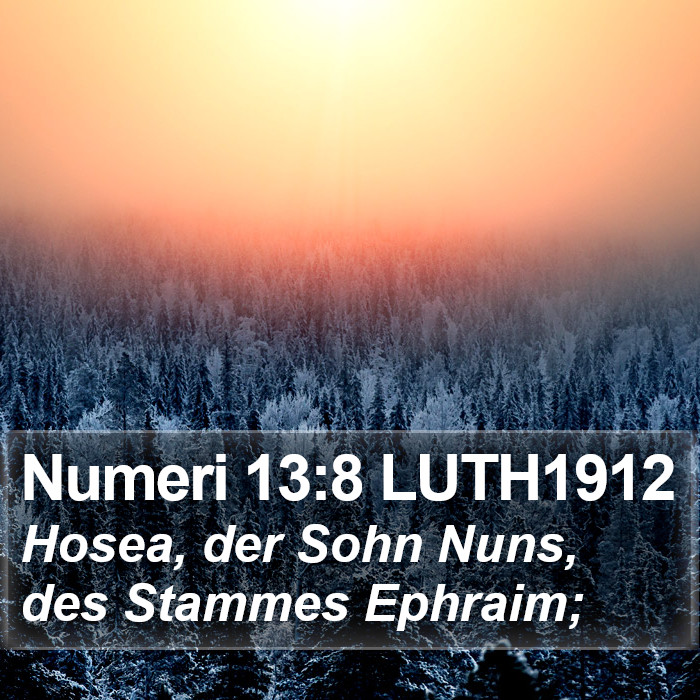 Numeri 13:8 LUTH1912 Bible Study