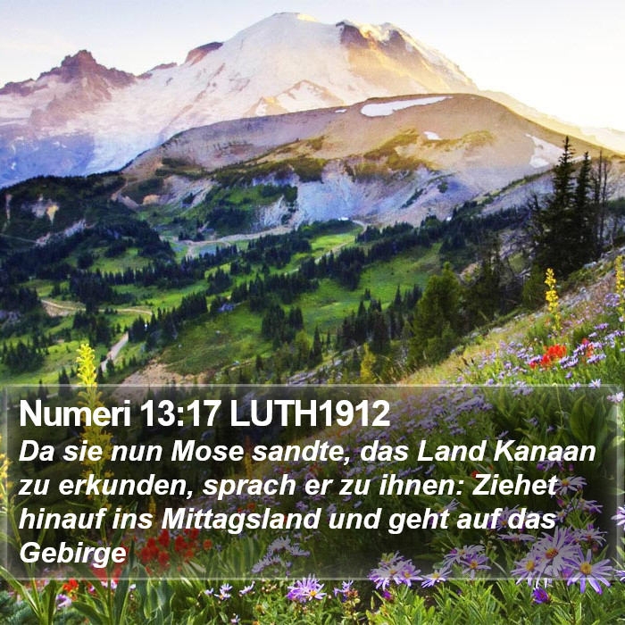 Numeri 13:17 LUTH1912 Bible Study