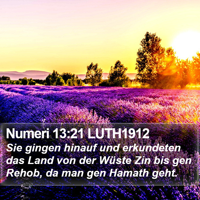 Numeri 13:21 LUTH1912 Bible Study