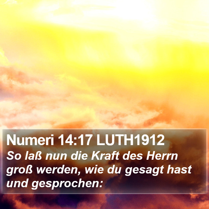 Numeri 14:17 LUTH1912 Bible Study