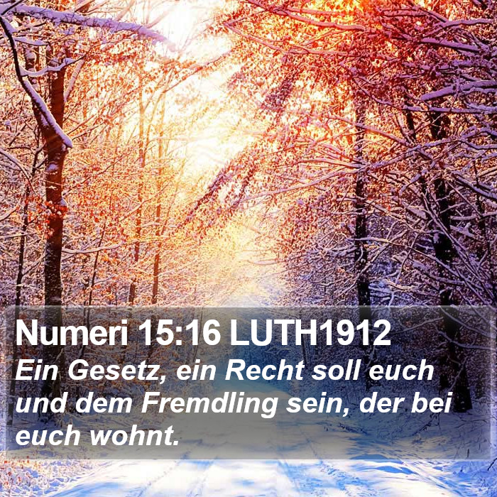 Numeri 15:16 LUTH1912 Bible Study
