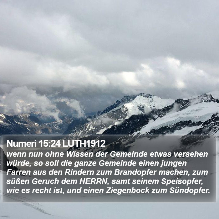Numeri 15:24 LUTH1912 Bible Study
