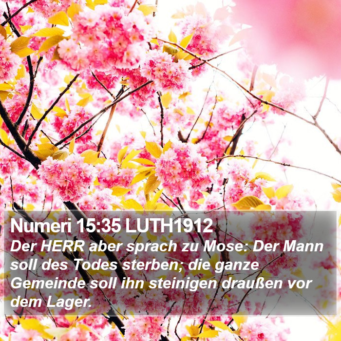 Numeri 15:35 LUTH1912 Bible Study