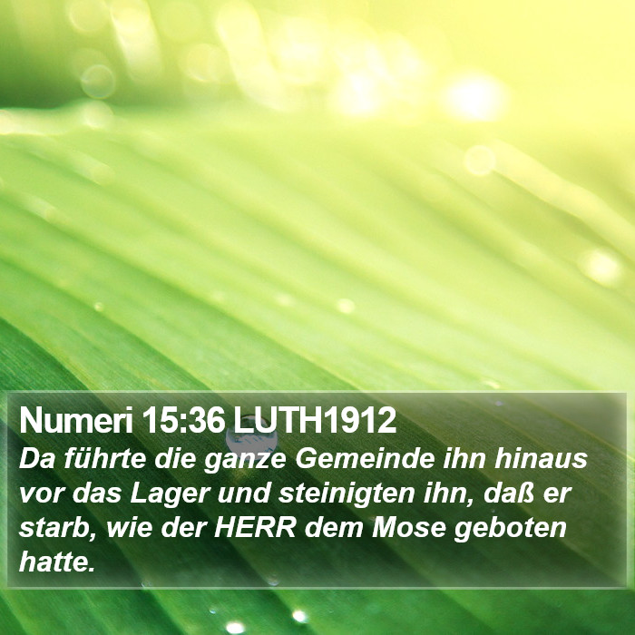 Numeri 15:36 LUTH1912 Bible Study