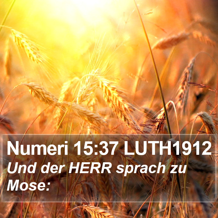 Numeri 15:37 LUTH1912 Bible Study