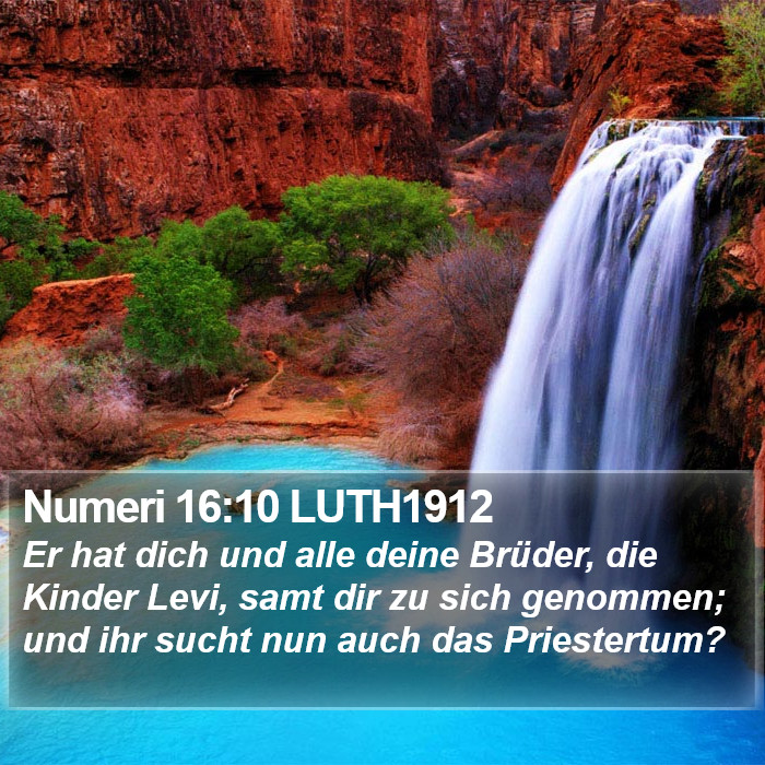 Numeri 16:10 LUTH1912 Bible Study