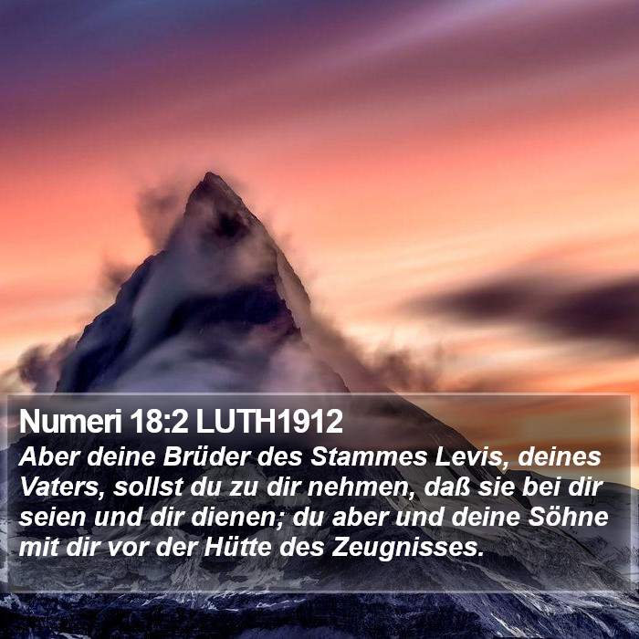 Numeri 18:2 LUTH1912 Bible Study