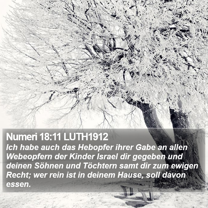 Numeri 18:11 LUTH1912 Bible Study