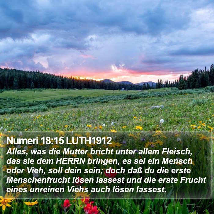 Numeri 18:15 LUTH1912 Bible Study