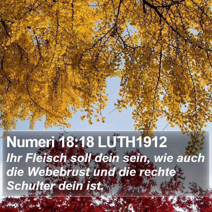 Numeri 18:18 LUTH1912 Bible Study