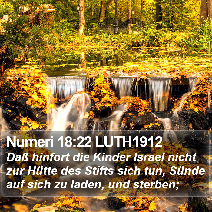 Numeri 18:22 LUTH1912 Bible Study