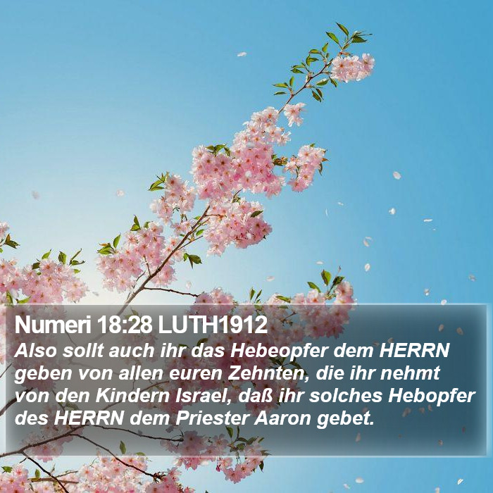 Numeri 18:28 LUTH1912 Bible Study