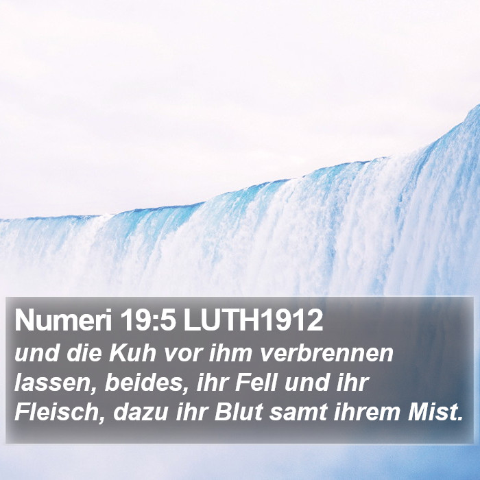 Numeri 19:5 LUTH1912 Bible Study