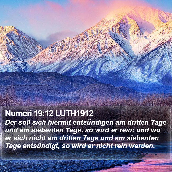 Numeri 19:12 LUTH1912 Bible Study