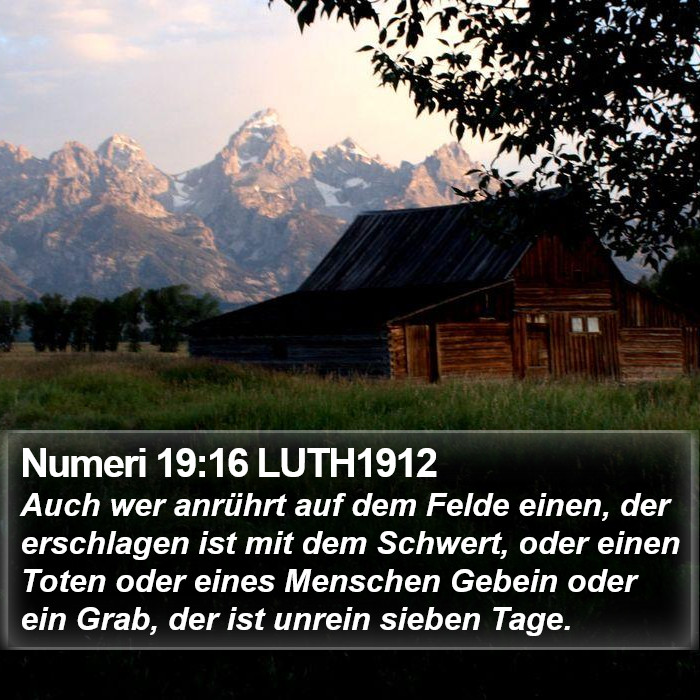 Numeri 19:16 LUTH1912 Bible Study