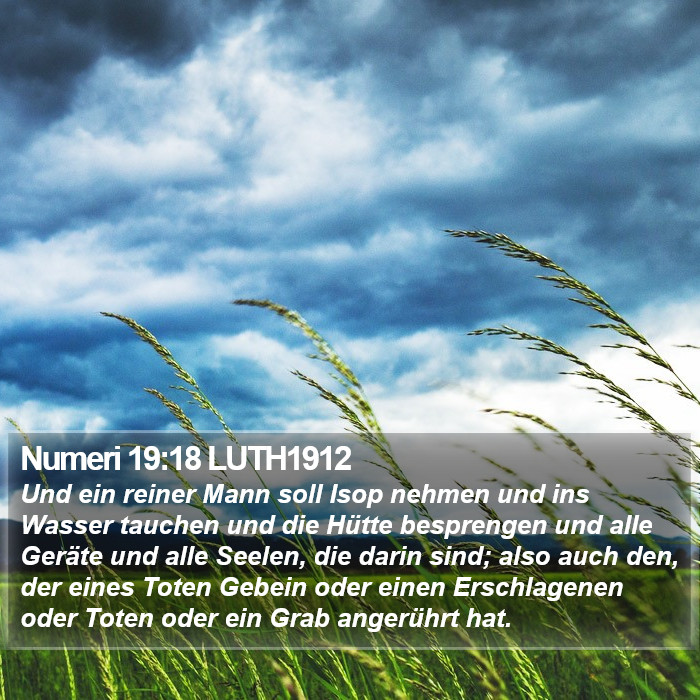 Numeri 19:18 LUTH1912 Bible Study