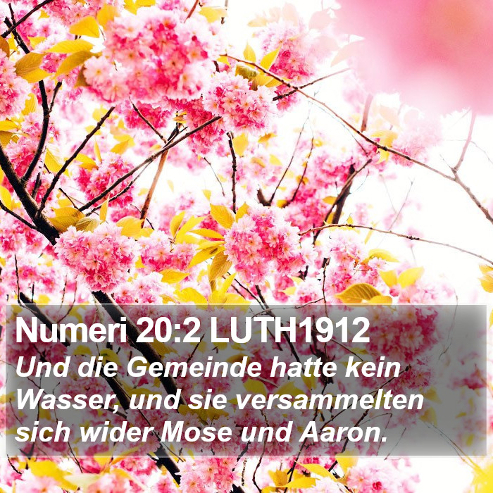 Numeri 20:2 LUTH1912 Bible Study
