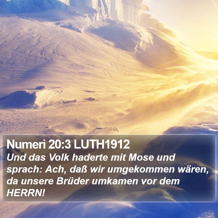 Numeri 20:3 LUTH1912 Bible Study