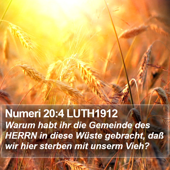 Numeri 20:4 LUTH1912 Bible Study