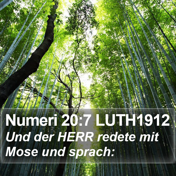 Numeri 20:7 LUTH1912 Bible Study