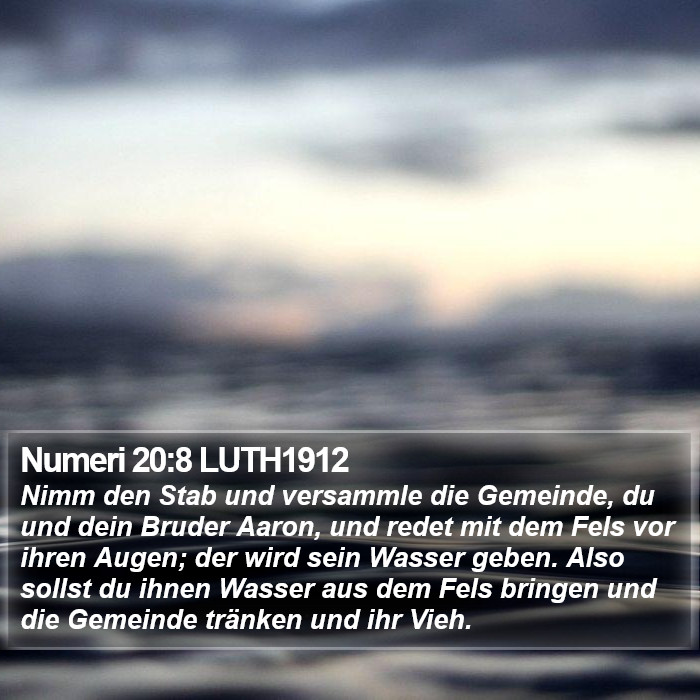 Numeri 20:8 LUTH1912 Bible Study