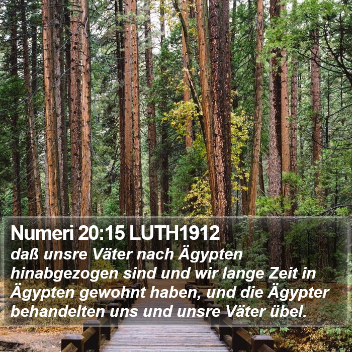 Numeri 20:15 LUTH1912 Bible Study