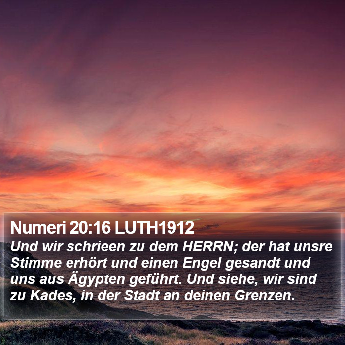 Numeri 20:16 LUTH1912 Bible Study