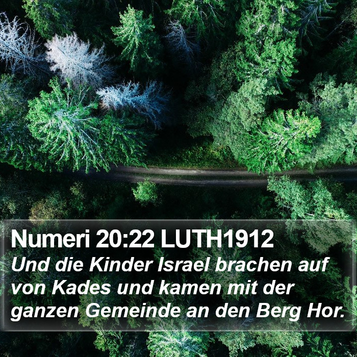 Numeri 20:22 LUTH1912 Bible Study