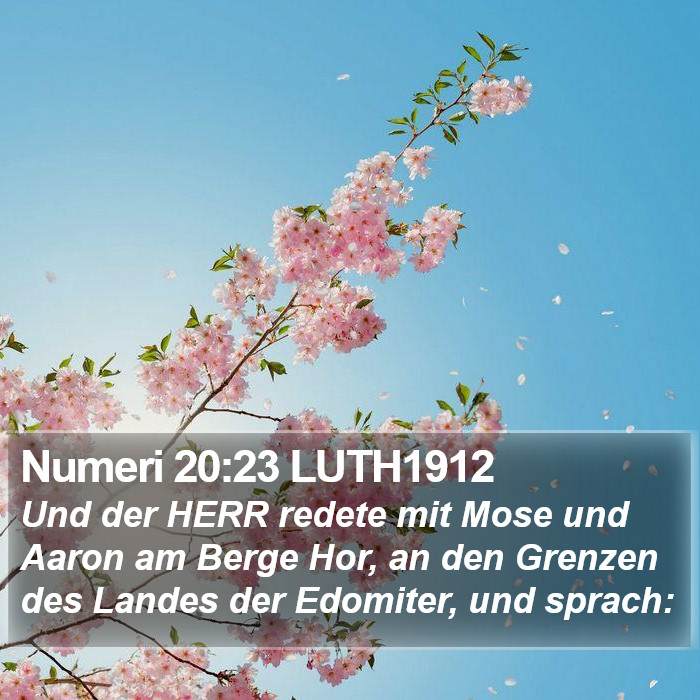 Numeri 20:23 LUTH1912 Bible Study