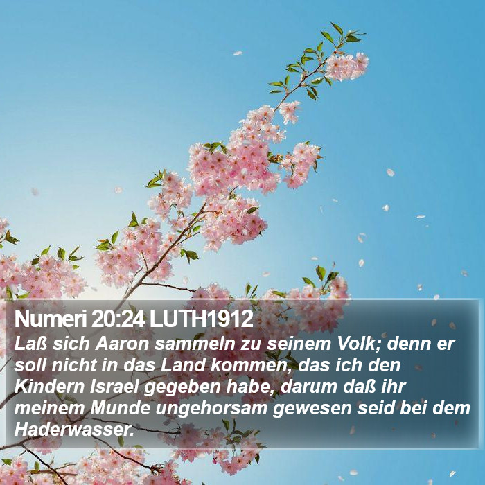 Numeri 20:24 LUTH1912 Bible Study
