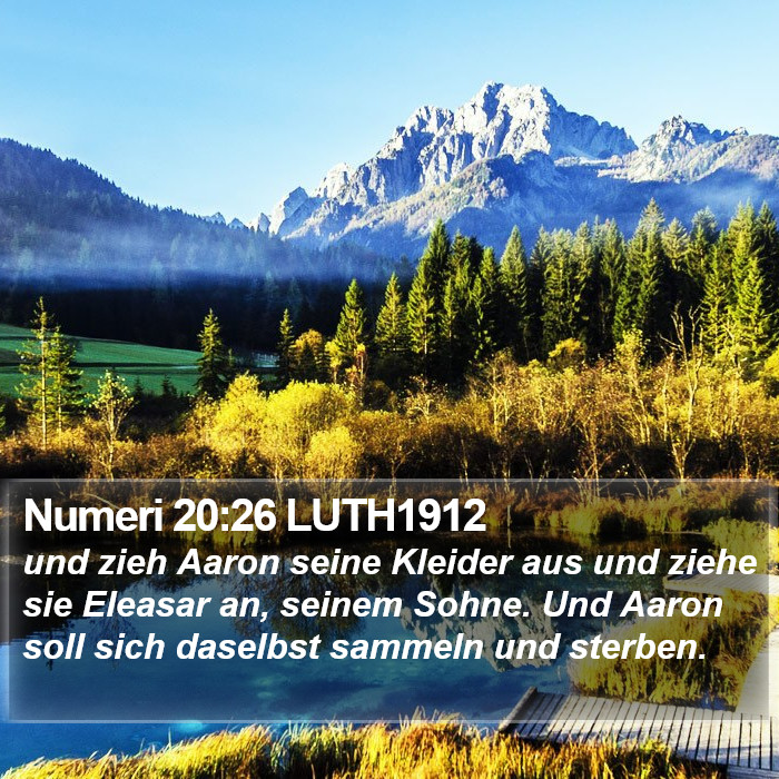 Numeri 20:26 LUTH1912 Bible Study