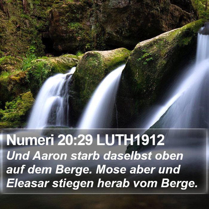 Numeri 20:29 LUTH1912 Bible Study