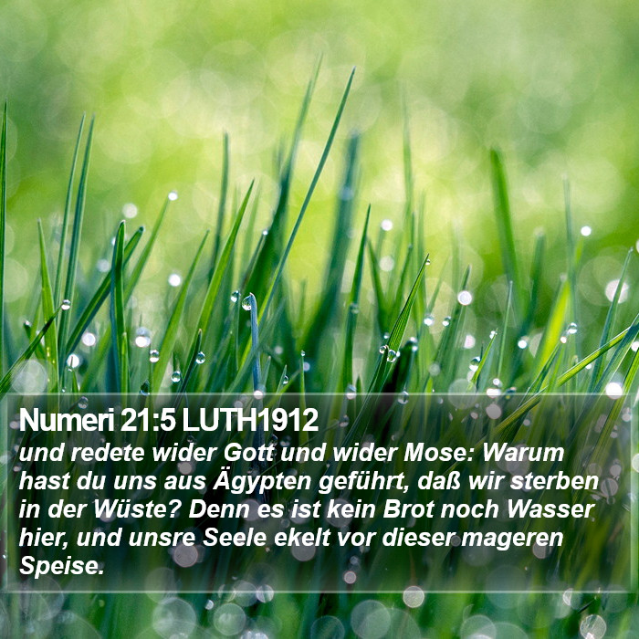 Numeri 21:5 LUTH1912 Bible Study
