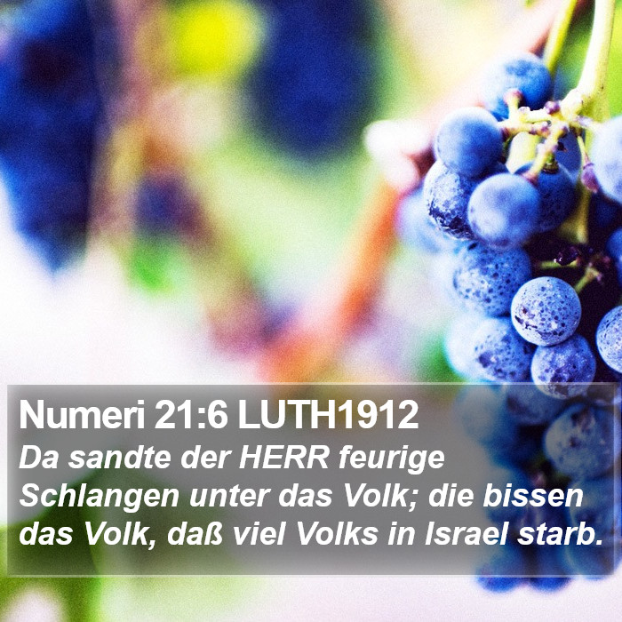 Numeri 21:6 LUTH1912 Bible Study