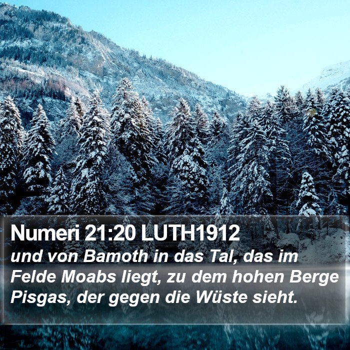 Numeri 21:20 LUTH1912 Bible Study