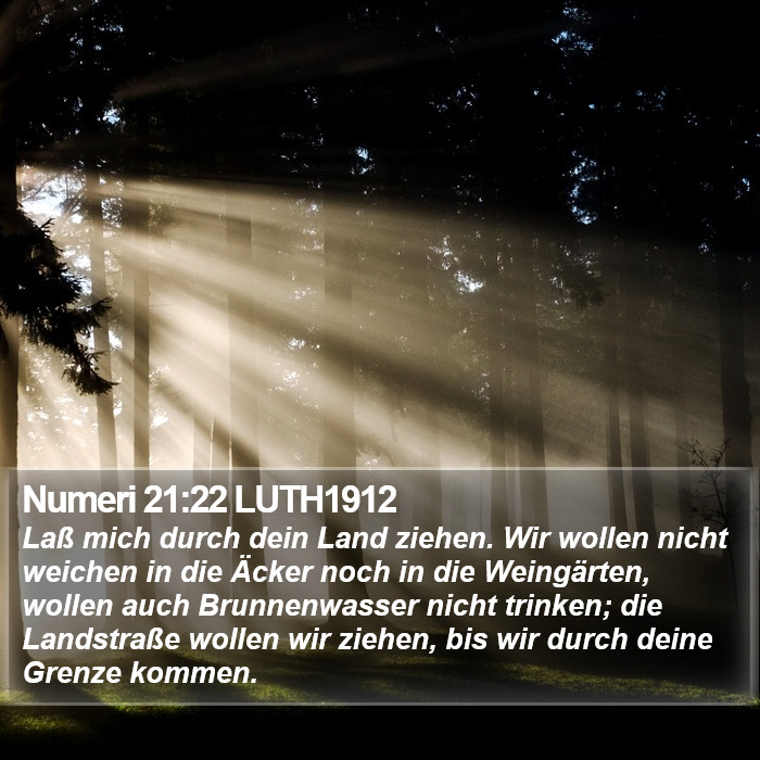 Numeri 21:22 LUTH1912 Bible Study