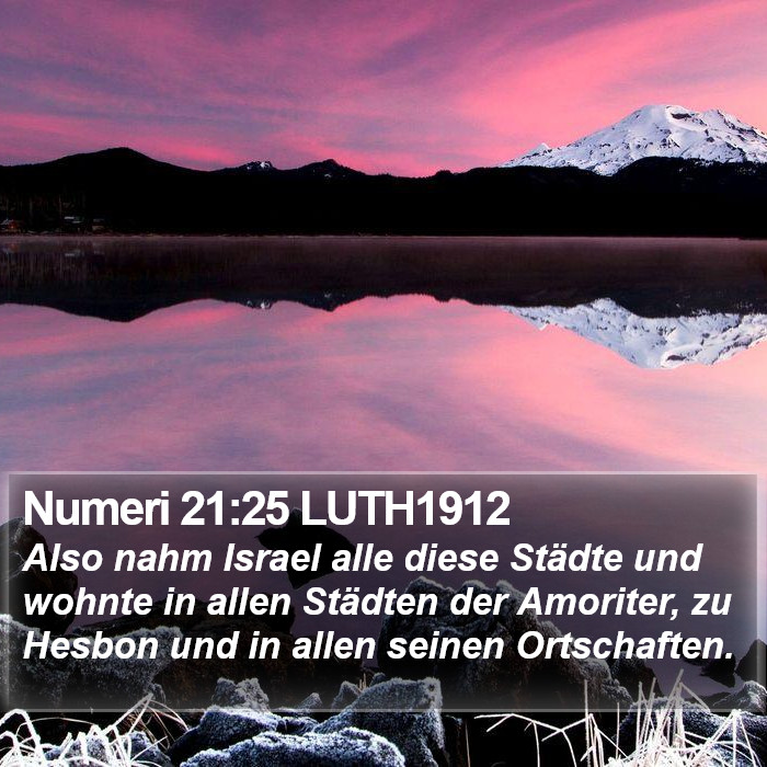 Numeri 21:25 LUTH1912 Bible Study